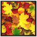 Herbstblätter auf Leinwandbild Quadratisch gerahmt Größe 70x70