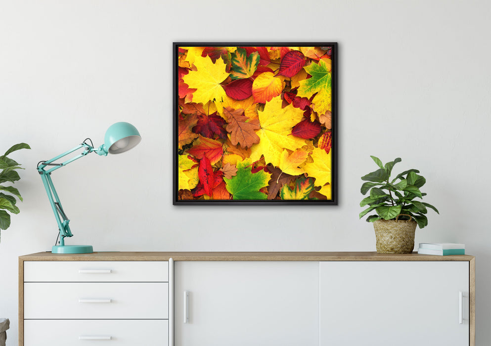Herbstblätter auf Leinwandbild gerahmt Quadratisch verschiedene Größen im Wohnzimmer