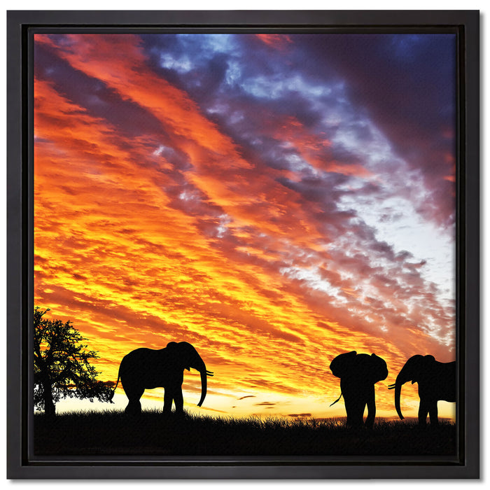 Elefanten in Wüste auf Leinwandbild Quadratisch gerahmt Größe 40x40