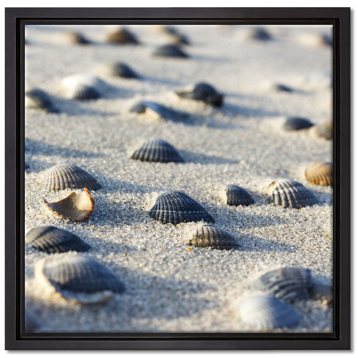 Muscheln im Sand auf Leinwandbild Quadratisch gerahmt Größe 40x40