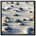 Muscheln im Sand auf Leinwandbild Quadratisch gerahmt Größe 70x70