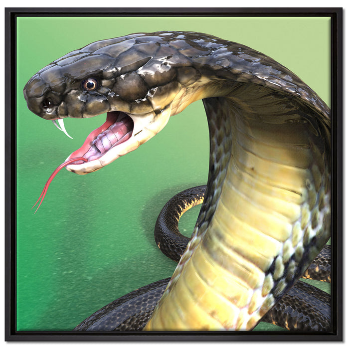 Nahaufnahme einer Cobra auf Leinwandbild Quadratisch gerahmt Größe 70x70