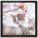 Süßes Kätzchen im Kirschbaum auf Leinwandbild Quadratisch gerahmt Größe 40x40