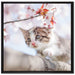 Süßes Kätzchen im Kirschbaum auf Leinwandbild Quadratisch gerahmt Größe 70x70