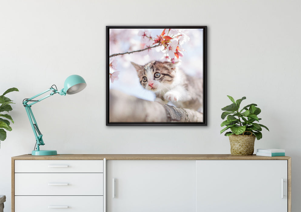 Süßes Kätzchen im Kirschbaum auf Leinwandbild gerahmt Quadratisch verschiedene Größen im Wohnzimmer