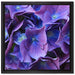 Blaue Hortensien Blüte auf Leinwandbild Quadratisch gerahmt Größe 40x40