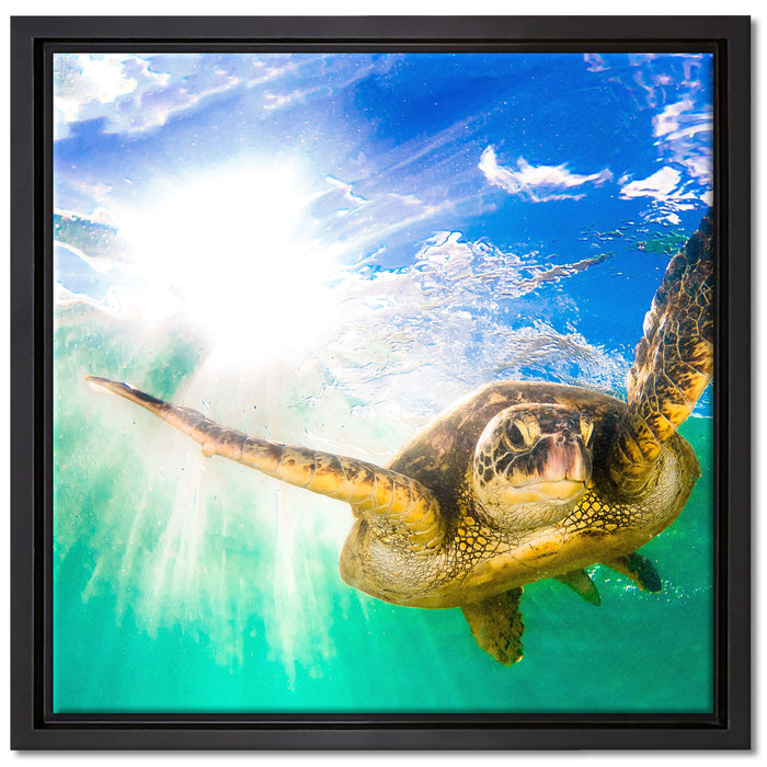 Grüne Meeresschildkröte auf Leinwandbild Quadratisch gerahmt Größe 40x40