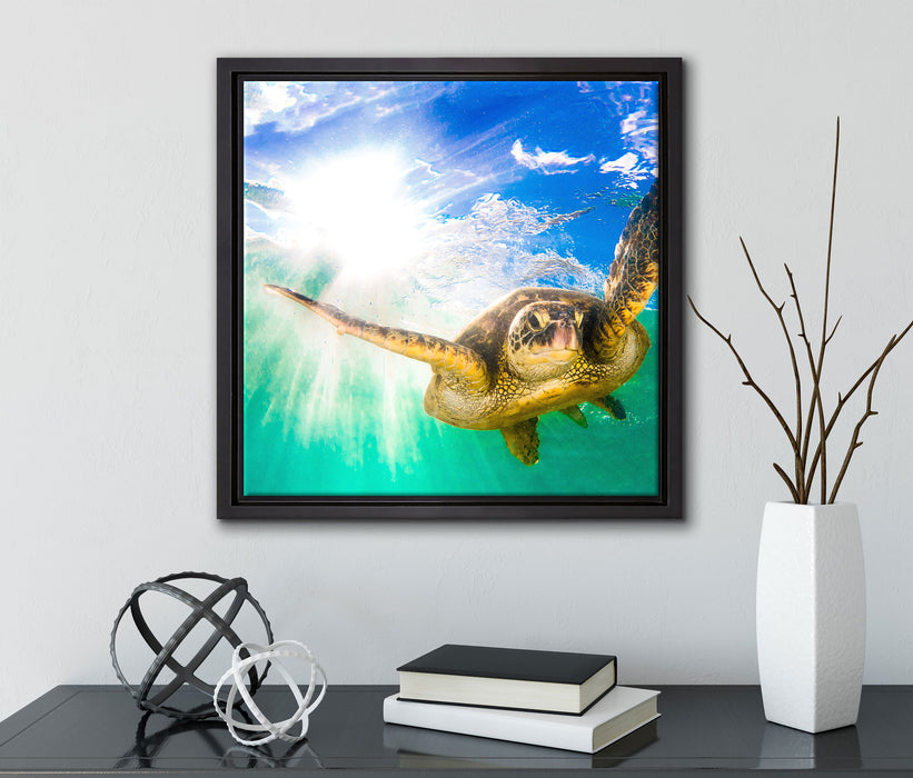 Grüne Meeresschildkröte  auf Leinwandbild Quadratisch gerahmt mit Kirschblüten