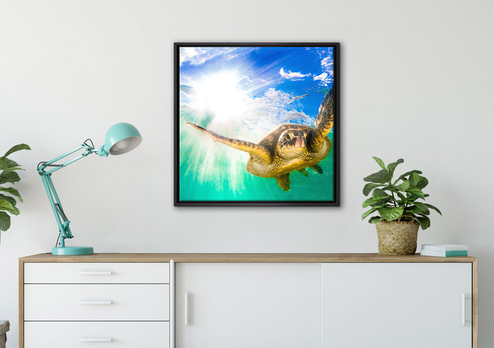 Grüne Meeresschildkröte auf Leinwandbild gerahmt Quadratisch verschiedene Größen im Wohnzimmer