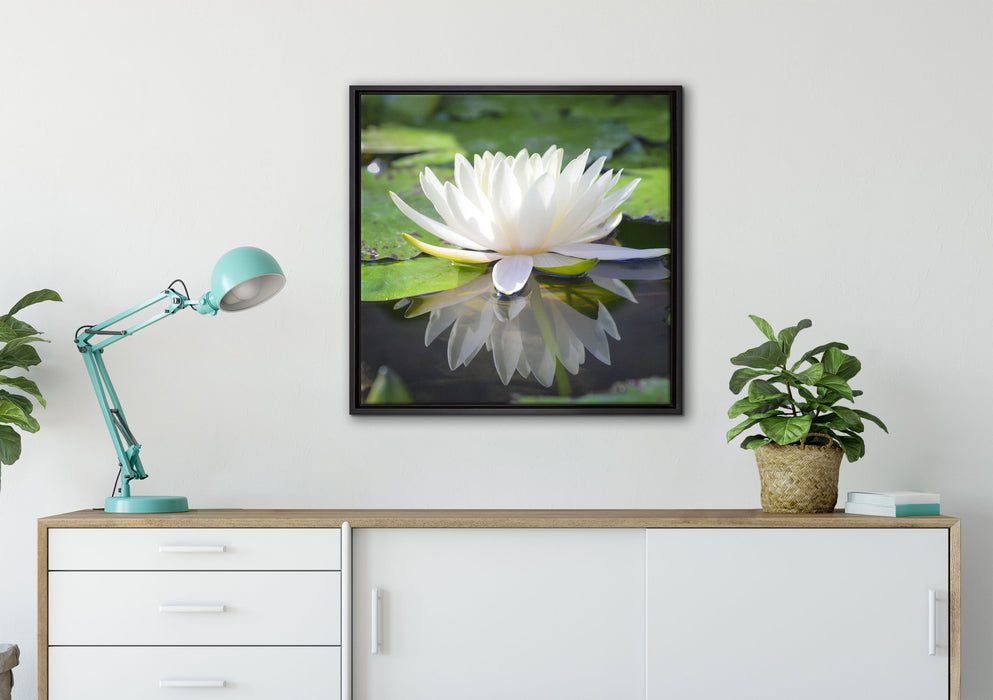 Weiße Lotusblume im Wasser auf Leinwandbild gerahmt Quadratisch verschiedene Größen im Wohnzimmer