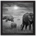 Elefanten in der Savanne auf Leinwandbild Quadratisch gerahmt Größe 40x40