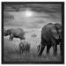 Elefanten in der Savanne auf Leinwandbild Quadratisch gerahmt Größe 60x60