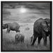 Elefanten in der Savanne auf Leinwandbild Quadratisch gerahmt Größe 70x70