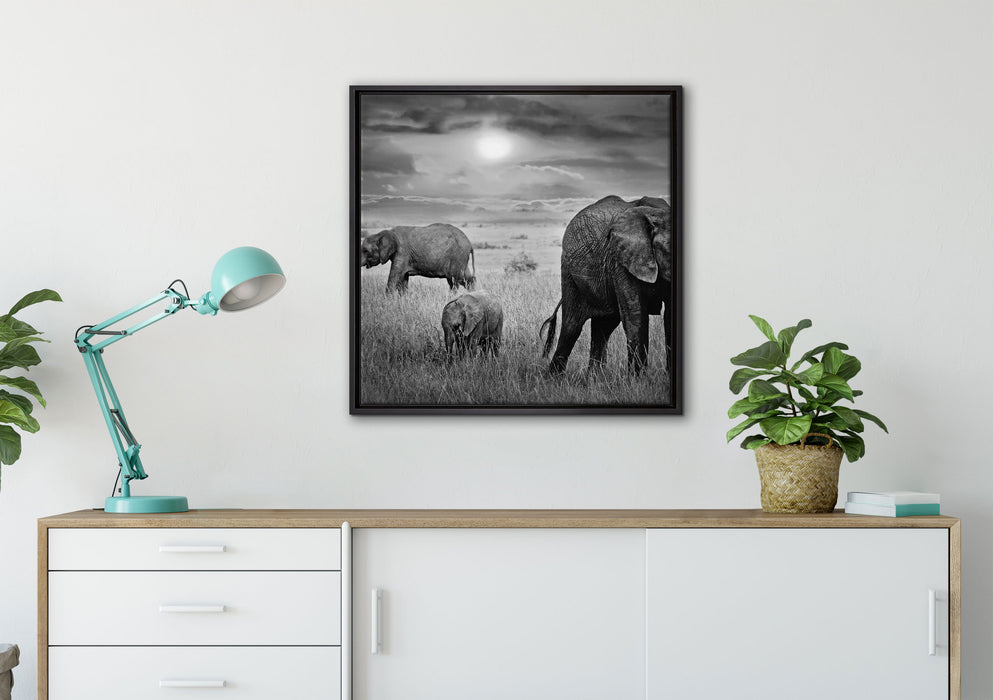 Elefanten in der Savanne auf Leinwandbild gerahmt Quadratisch verschiedene Größen im Wohnzimmer