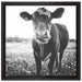 Kuh auf Butterblumenwiese auf Leinwandbild Quadratisch gerahmt Größe 40x40