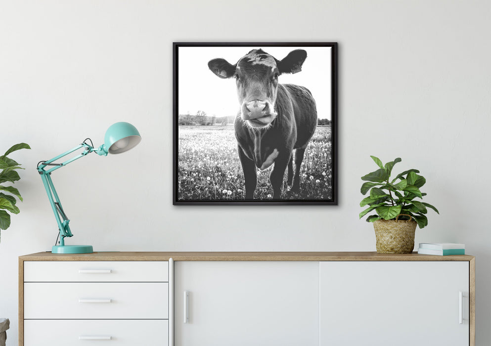 Kuh auf Butterblumenwiese auf Leinwandbild gerahmt Quadratisch verschiedene Größen im Wohnzimmer