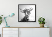 Portrait einer Kuh auf Leinwandbild gerahmt Quadratisch verschiedene Größen im Wohnzimmer
