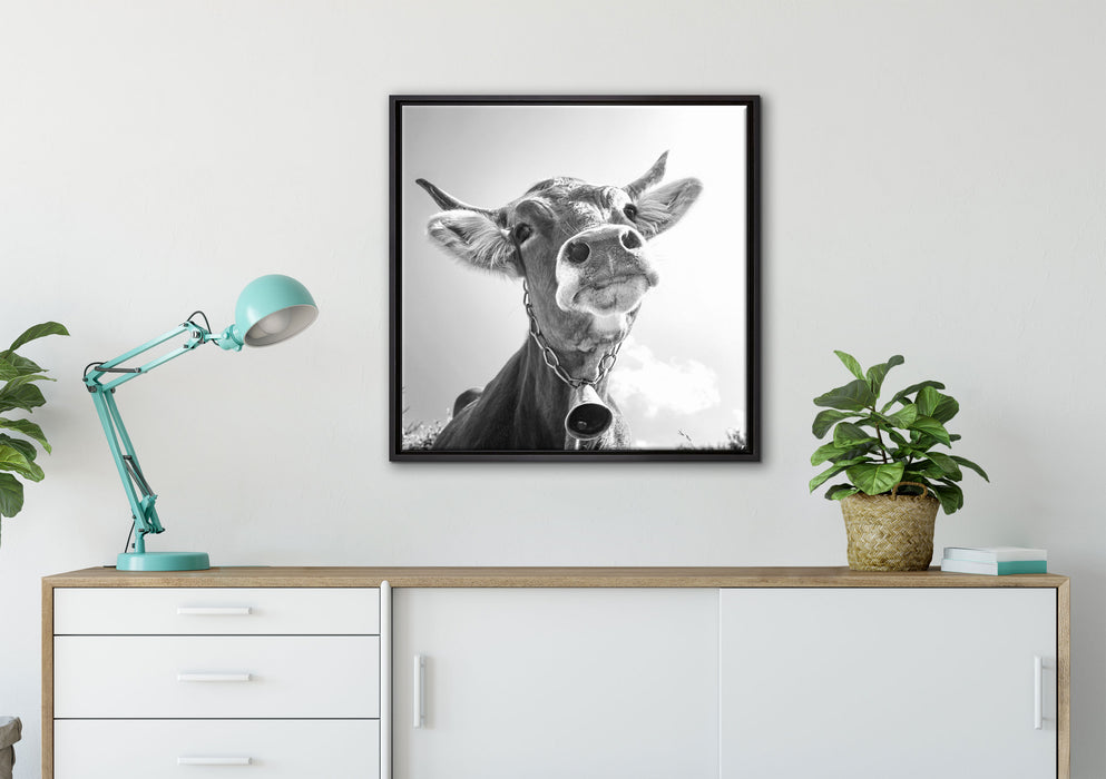 Portrait einer Kuh auf Leinwandbild gerahmt Quadratisch verschiedene Größen im Wohnzimmer