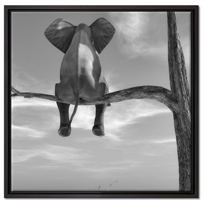 Elefant auf einem Ast in der Wüste auf Leinwandbild Quadratisch gerahmt Größe 60x60