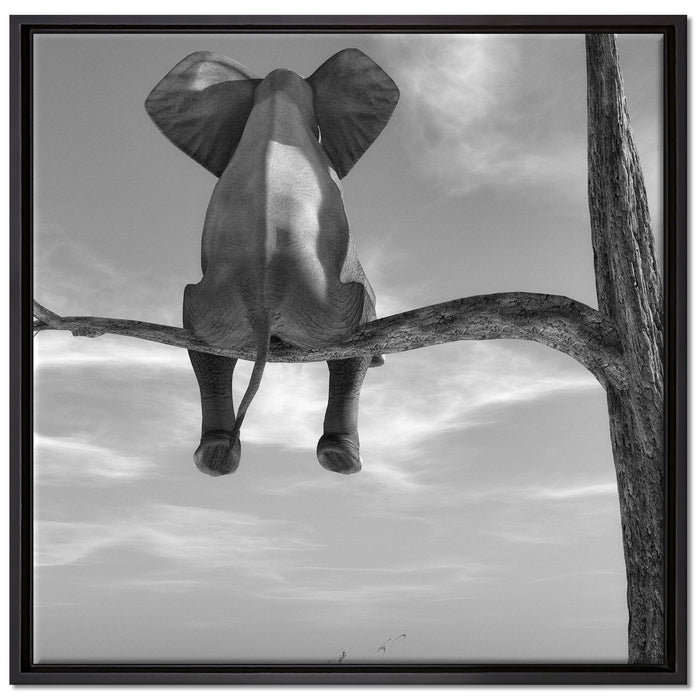 Elefant auf einem Ast in der Wüste auf Leinwandbild Quadratisch gerahmt Größe 70x70