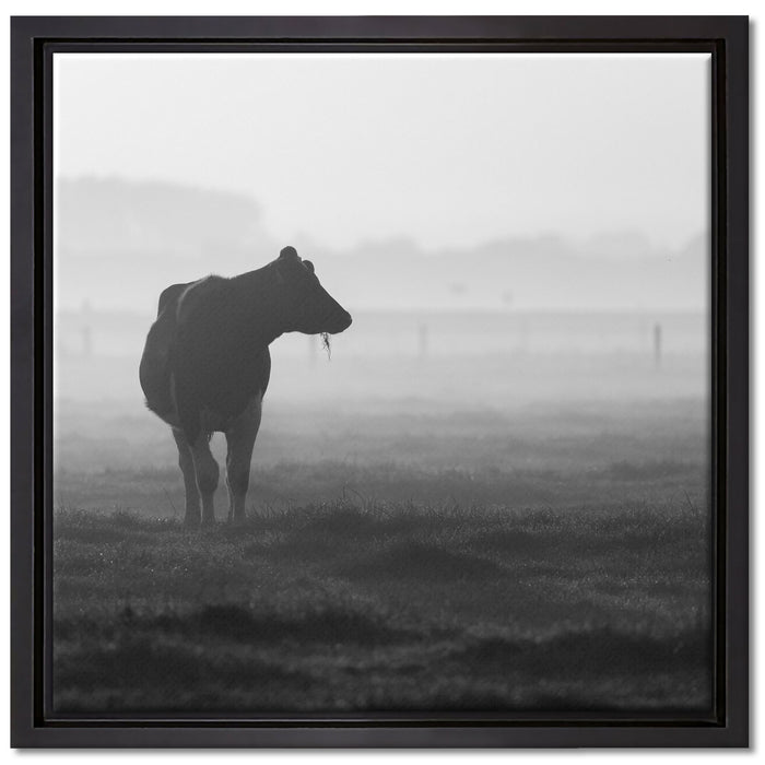 fressende Kuh auf der Weide auf Leinwandbild Quadratisch gerahmt Größe 40x40