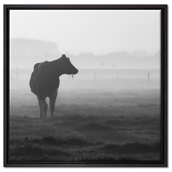 fressende Kuh auf der Weide auf Leinwandbild Quadratisch gerahmt Größe 60x60