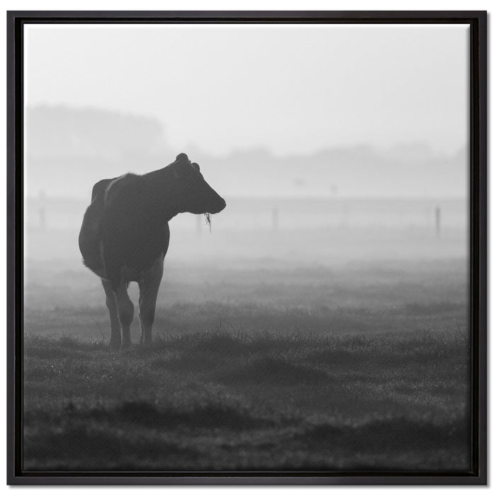 fressende Kuh auf der Weide auf Leinwandbild Quadratisch gerahmt Größe 70x70