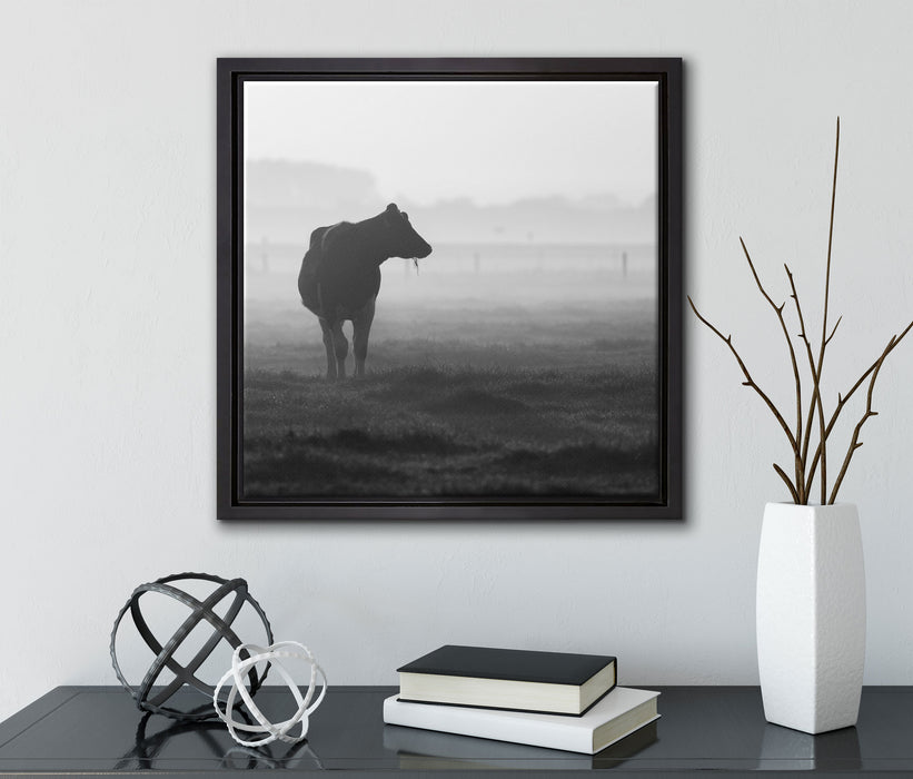 fressende Kuh auf der Weide  auf Leinwandbild Quadratisch gerahmt mit Kirschblüten