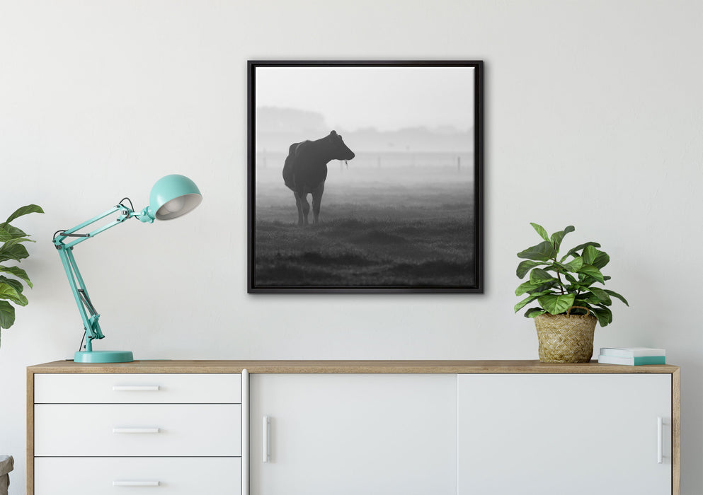 fressende Kuh auf der Weide auf Leinwandbild gerahmt Quadratisch verschiedene Größen im Wohnzimmer