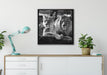 interessiertes Löwenpaar Kunst B&W auf Leinwandbild gerahmt Quadratisch verschiedene Größen im Wohnzimmer