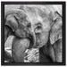 Elefantenmutter mit Kalb B&W auf Leinwandbild Quadratisch gerahmt Größe 40x40