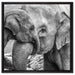 Elefantenmutter mit Kalb B&W auf Leinwandbild Quadratisch gerahmt Größe 60x60