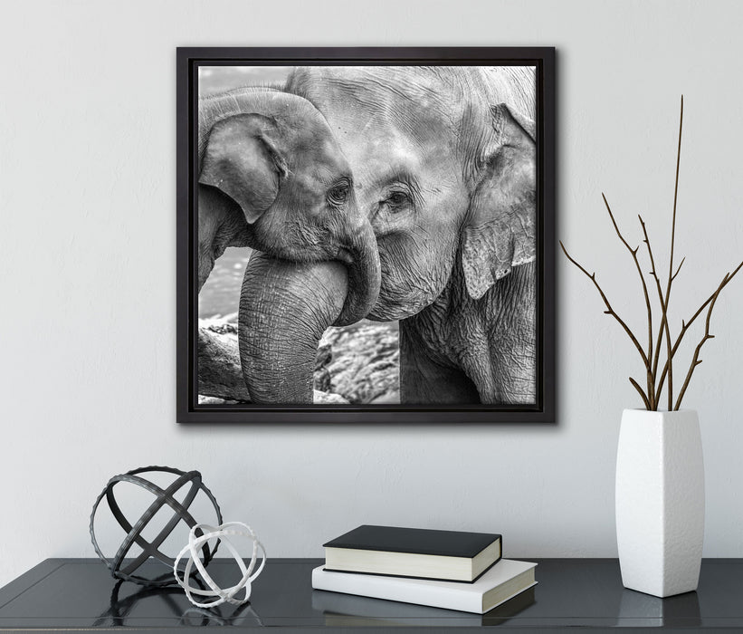 Elefantenmutter mit Kalb B&W  auf Leinwandbild Quadratisch gerahmt mit Kirschblüten