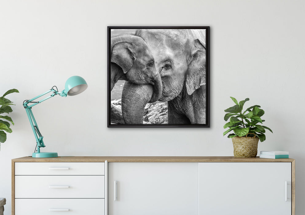 Elefantenmutter mit Kalb B&W auf Leinwandbild gerahmt Quadratisch verschiedene Größen im Wohnzimmer