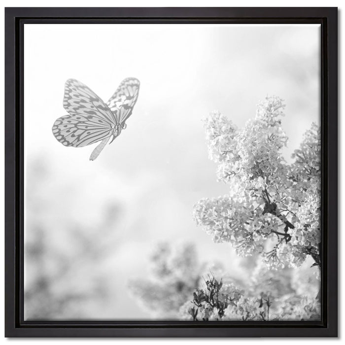 Schmetterling Kirschblüten auf Leinwandbild Quadratisch gerahmt Größe 40x40