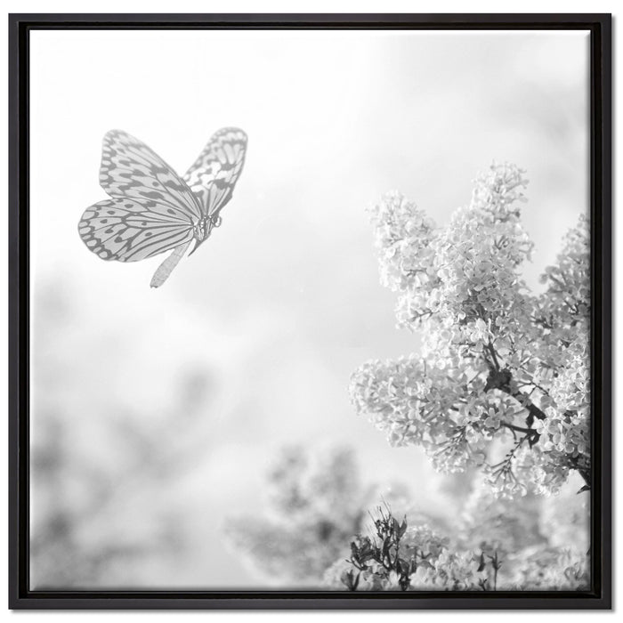 Schmetterling Kirschblüten auf Leinwandbild Quadratisch gerahmt Größe 70x70