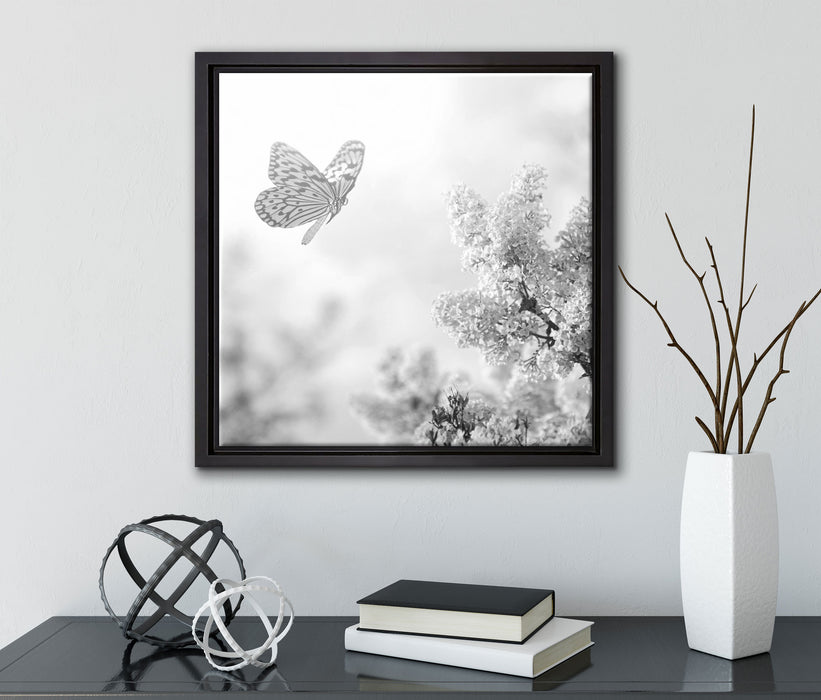 Schmetterling Kirschblüten  auf Leinwandbild Quadratisch gerahmt mit Kirschblüten
