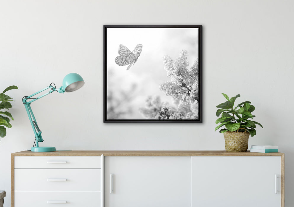 Schmetterling Kirschblüten auf Leinwandbild gerahmt Quadratisch verschiedene Größen im Wohnzimmer