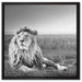 Majestätischer Löwe Kunst B&W auf Leinwandbild Quadratisch gerahmt Größe 60x60