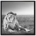 Majestätischer Löwe Kunst B&W auf Leinwandbild Quadratisch gerahmt Größe 70x70