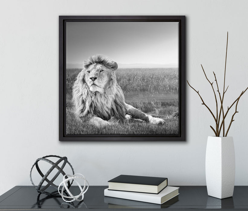 Majestätischer Löwe Kunst B&W  auf Leinwandbild Quadratisch gerahmt mit Kirschblüten