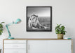 Majestätischer Löwe Kunst B&W auf Leinwandbild gerahmt Quadratisch verschiedene Größen im Wohnzimmer
