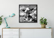 Kuh im Karwendelgebirge Kunst B&W auf Leinwandbild gerahmt Quadratisch verschiedene Größen im Wohnzimmer