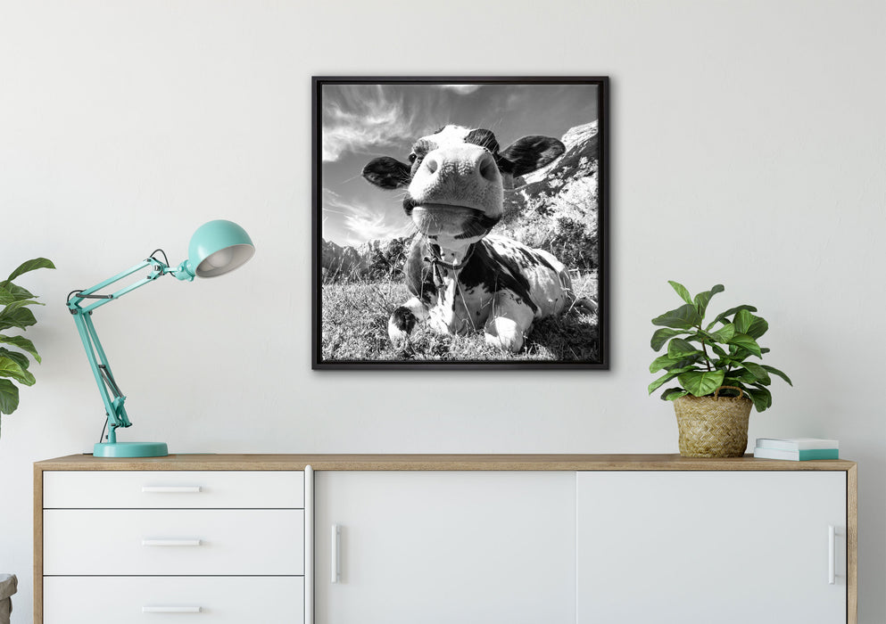 Kuh im Karwendelgebirge Kunst B&W auf Leinwandbild gerahmt Quadratisch verschiedene Größen im Wohnzimmer