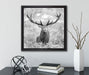 Großer Hirsch im Feld Kunst B&W  auf Leinwandbild Quadratisch gerahmt mit Kirschblüten