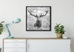 Großer Hirsch im Feld Kunst B&W auf Leinwandbild gerahmt Quadratisch verschiedene Größen im Wohnzimmer