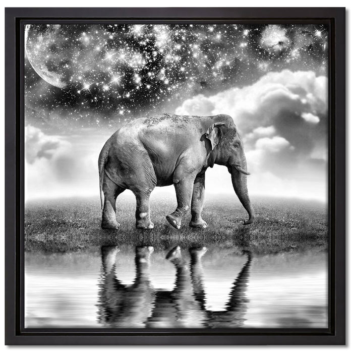 Elefant, Wiese, Himmel, Afrika auf Leinwandbild Quadratisch gerahmt Größe 40x40