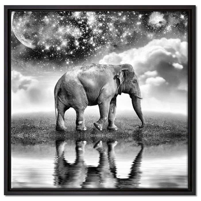Elefant, Wiese, Himmel, Afrika auf Leinwandbild Quadratisch gerahmt Größe 60x60