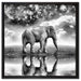 Elefant, Wiese, Himmel, Afrika auf Leinwandbild Quadratisch gerahmt Größe 60x60