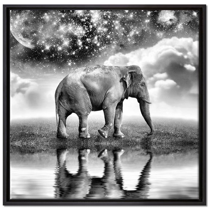 Elefant, Wiese, Himmel, Afrika auf Leinwandbild Quadratisch gerahmt Größe 70x70